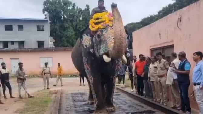 ಜಂಬೂ ಸವಾರಿ ಆನೆಗಳ ತೂಕ ಪರಿಶೀಲನೆ, ಯಾವ ಆನೆ ಎಷ್ಟು ಭಾರ? ಇಲ್ಲಿದೆ ಮಾಹಿತಿ
