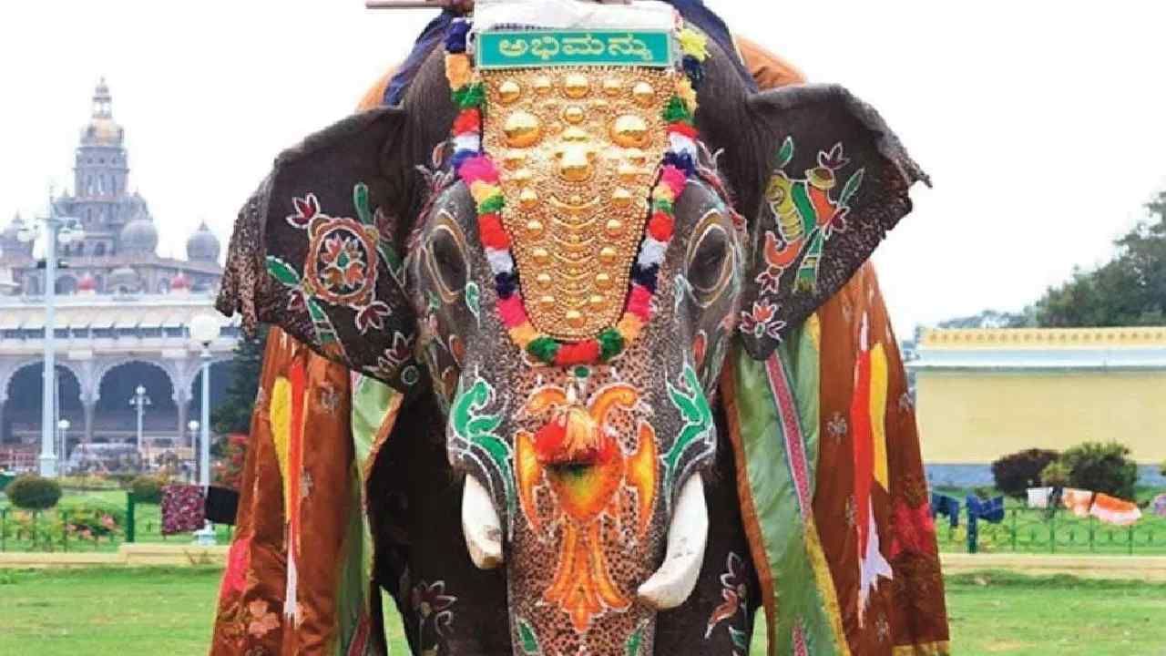 ಮೈಸೂರು ದಸರಾ: ಜಂಬೂ ಸವಾರಿಯಲ್ಲಿ ಭಾಗಿಯಾಗುವ ಆನೆಗಳ ವಯಸ್ಸು, ತೂಕ, ಎತ್ತರ ವಿವರಗಳು ಇಲ್ಲಿದೆ ಮೈಸೂರು ದಸರಾ: ಜಂಬೂ ಸವಾರಿಯಲ್ಲಿ ಭಾಗಿಯಾಗುವ ಆನೆಗಳ ವಯಸ್ಸು, ತೂಕ, ಎತ್ತರ ವಿವರಗಳು ಇಲ್ಲಿದೆ