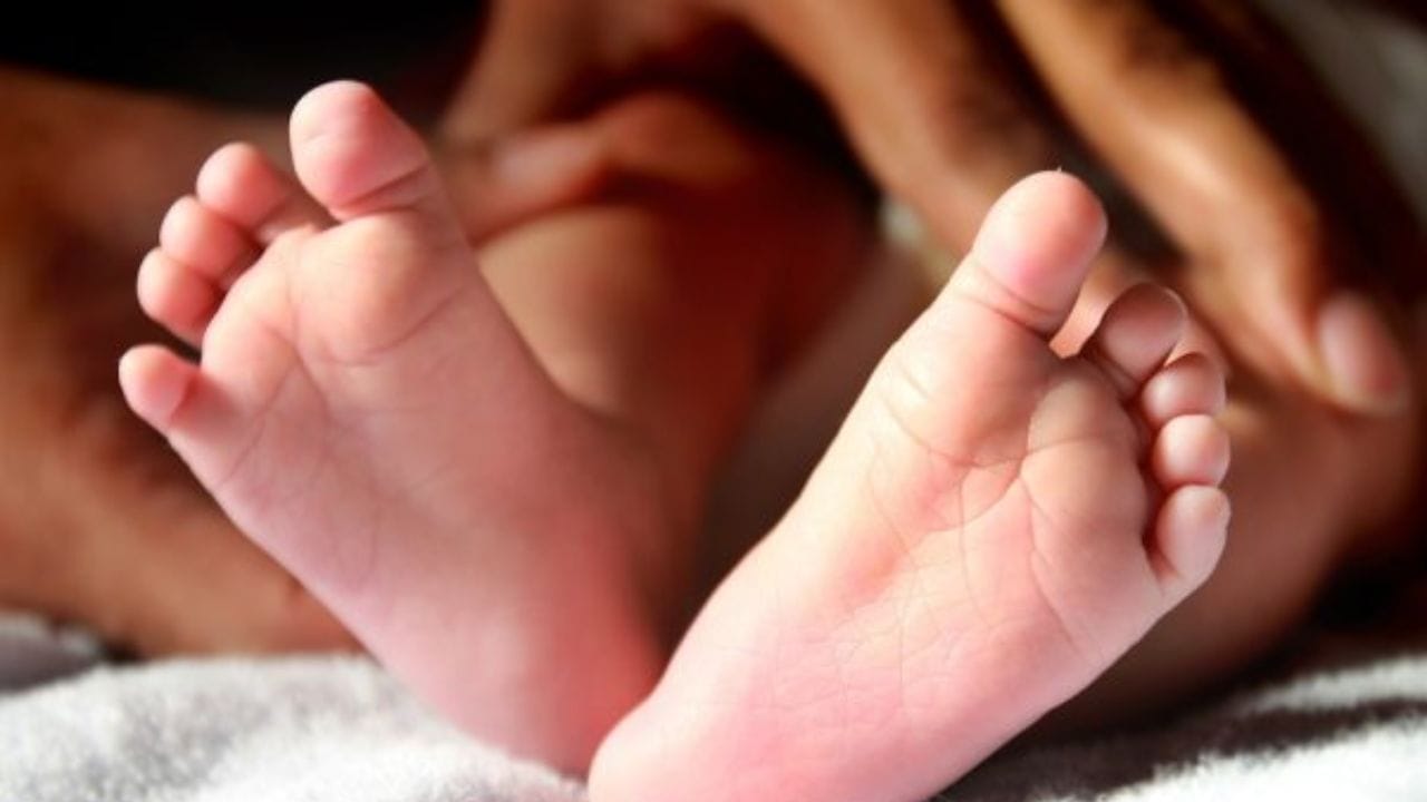 ಅ.1 ರಿಂದ ಡ್ರೈವಿಂಗ್ ಲೈಸೆನ್ಸ್, ಆಧಾರ್ ಸಂಖ್ಯೆ ಬದಲಾವಣೆ, ಸರ್ಕಾರಿ ಉದ್ಯೋಗ ಪಡೆಯಲು ಜನನ ಪ್ರಮಾಣಪತ್ರ ಒಂದೇ ದಾಖಲೆ ಅ.1 ರಿಂದ ಡ್ರೈವಿಂಗ್ ಲೈಸೆನ್ಸ್, ಆಧಾರ್ ಸಂಖ್ಯೆ ಬದಲಾವಣೆ, ಸರ್ಕಾರಿ ಉದ್ಯೋಗ ಪಡೆಯಲು ಜನನ ಪ್ರಮಾಣಪತ್ರ ಒಂದೇ ದಾಖಲೆ