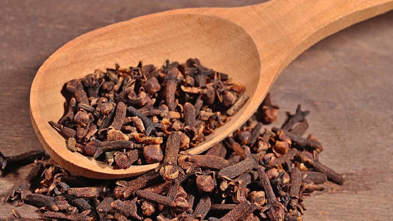 ಲವಂಗದ ಬಗ್ಗೆ ನೀವು ಕೇಳಿರದ ಅಚ್ಚರಿಯ ಮಾಹಿತಿ ಇಲ್ಲಿದೆ Kannada News