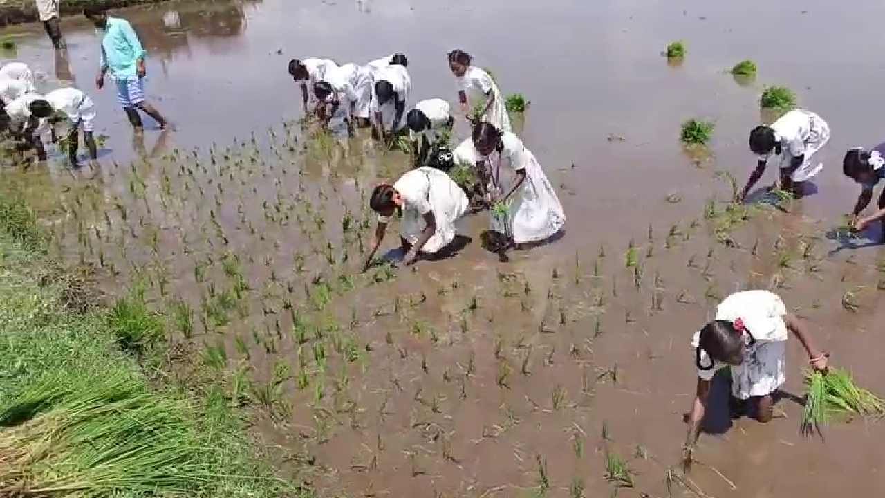 ಹನಿ ನೀರಾವರಿ ಹಾಗೂ ಕೃಷಿ ಸಂಬಂಧಿತ ಇನ್ನಿತರ ವಿಷಯಗಳ ಬಗ್ಗೆ ಶಿಕ್ಷಕರು ಪ್ರಾಕ್ಟಿಕಲ್ ಮಾಹಿತಿ ನೀಡಿದರು. ಶಿಕ್ಷಕರ ಹೊಸ ಬಗೆಯ ತರಬೇತಿಗೆ ಸಾರ್ವಜನಿಕರು ಪ್ರಶಂಸೆ ವ್ಯಕ್ತಪಡಿಸಿದರು.