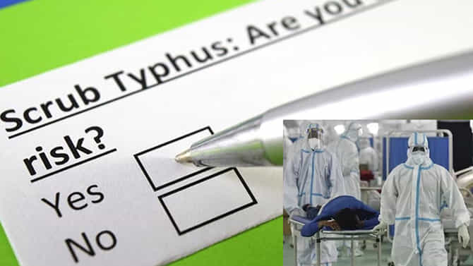 Nipah Virus:  ದೇಶದಲ್ಲಿ ಕೊರೊನಾ ಪರಿಸ್ಥಿತಿ ಮತ್ತೆ ಬರುತ್ತಿದೆಯಾ?