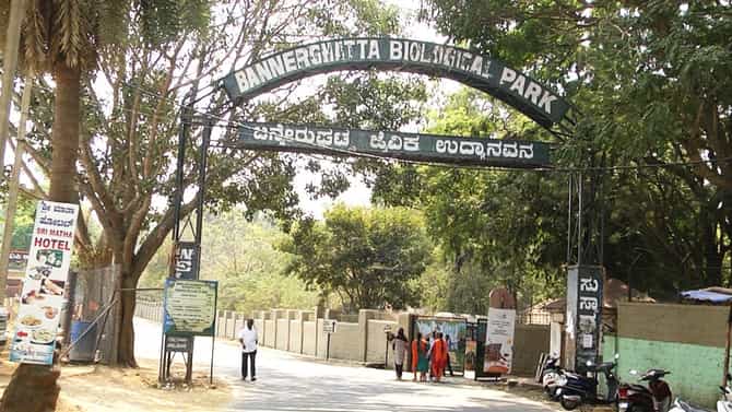 ಕೇರಳದಲ್ಲಿ ನಿಫಾ ವೈರಸ್ ಸೋಂಕು ಹೆಚ್ಚಳ; ಬನ್ನೇರುಘಟ್ಟದಲ್ಲಿ ಹೈ ಅಲರ್ಟ್​