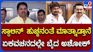 ಮೈಸೂರು: ಕಾವೇರಿಪುರ ಮೂಡಲಹುಂಡಿ ಗ್ರಾಮದಲ್ಲಿ ಕಾಣಿಸಿಕೊಂಡ ಚಿರತೆ, ಎರಡು ಮೇಕೆಗಳ ಮೇಲೆ ದಾಳಿ, ಆತಂಕದಲ್ಲಿ ಗ್ರಾಮಸ್ಥರು