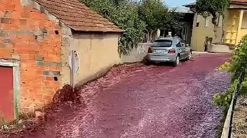 ಪೋರ್ಚುಗಲ್ನ ಈ ಪಟ್ಟಣದ ರಸ್ತೆಗಳಲ್ಲಿ ನದಿಯಂತೆ ಹರಿದ ರೆಡ್ವೈನ್
