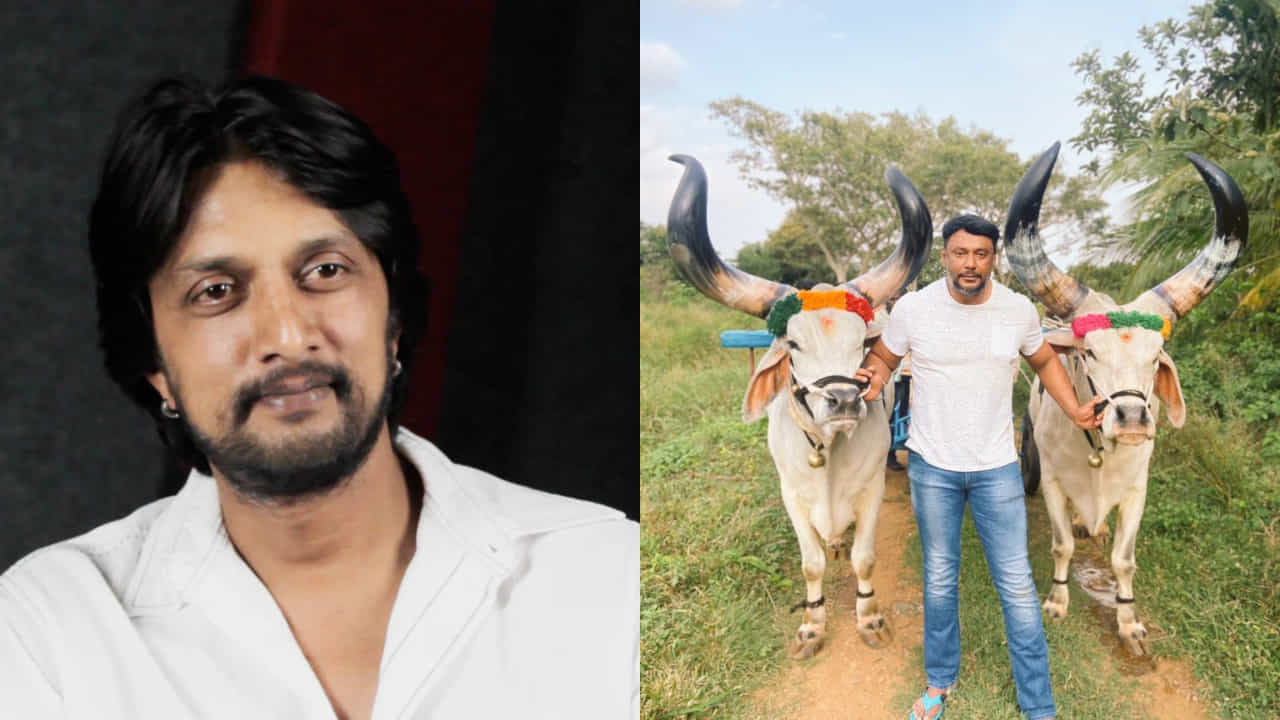 ‘ದರ್ಶನ್ ಮೇಲೆ ಕೋಪ ಇಲ್ಲ, ನಾವು ಕಿತ್ತಾಡಿಕೊಂಡಿಲ್ಲ’; ಬರ್ತ್ಡೇ ದಿನ ಖುಷಿ ಖುಷಿಯಿಂದ ಮಾತನಾಡಿದ ಸುದೀಪ್ ‘ದರ್ಶನ್ ಮೇಲೆ ಕೋಪ ಇಲ್ಲ, ನಾವು ಕಿತ್ತಾಡಿಕೊಂಡಿಲ್ಲ’; ಬರ್ತ್ಡೇ ದಿನ ಖುಷಿ ಖುಷಿಯಿಂದ ಮಾತನಾಡಿದ ಸುದೀಪ್