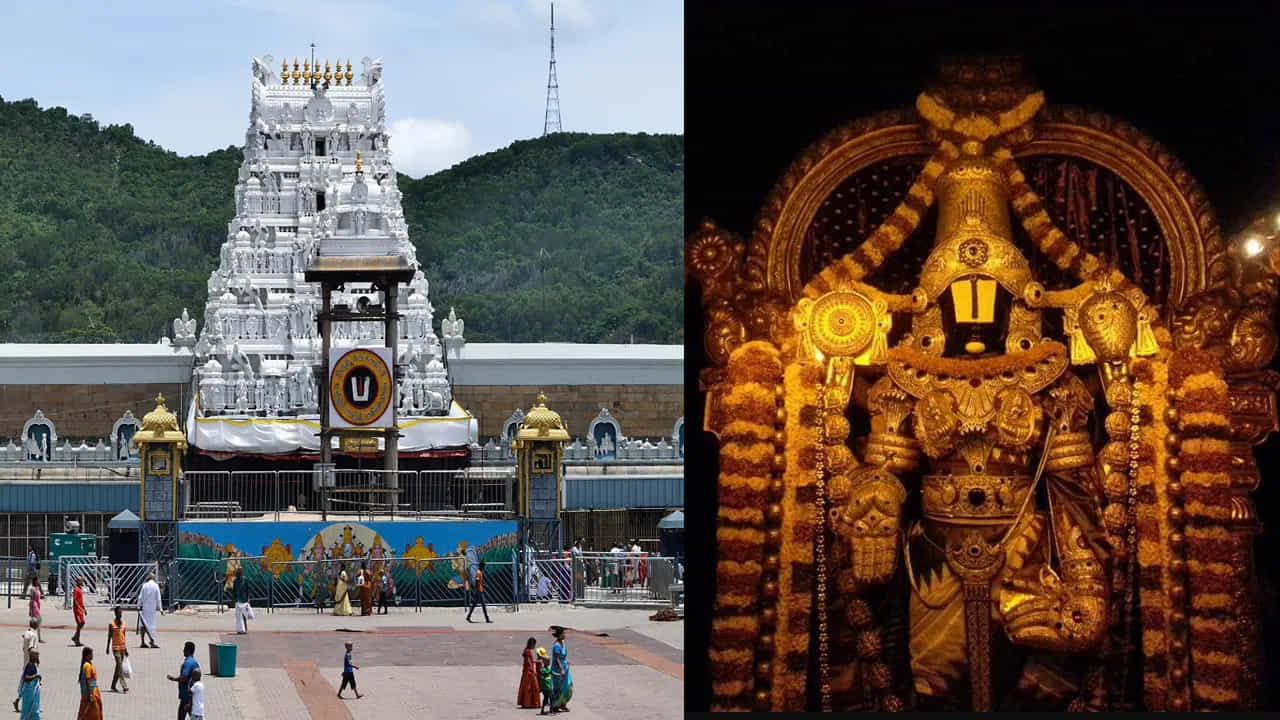 ವಿವಾದಗಳಿಂದಾಗಿ ಹೆಚ್ಚಿದ ಜನಪ್ರಿಯತೆ! ಶ್ವೇತಪತ್ರ ಬಿಡುಗಡೆ: ಭಕ್ತರಿಂದ TTD ತಿರುಮಲ ಶ್ರೀವಾಣಿ ಟ್ರಸ್ಟ್ಗೆ ಹರಿದುಬಂದಿದೆ 1000 ಕೋಟಿ ರೂ ದೇಣಿಗೆ ವಿವಾದಗಳಿಂದಾಗಿ ಹೆಚ್ಚಿದ ಜನಪ್ರಿಯತೆ! ಶ್ವೇತಪತ್ರ ಬಿಡುಗಡೆ: ಭಕ್ತರಿಂದ TTD ತಿರುಮಲ ಶ್ರೀವಾಣಿ ಟ್ರಸ್ಟ್ಗೆ ಹರಿದುಬಂದಿದೆ 1000 ಕೋಟಿ ರೂ ದೇಣಿಗೆ