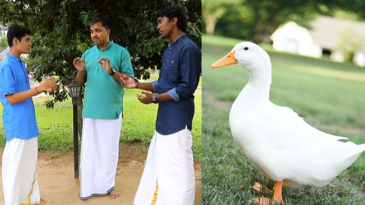 Viral Video: ಅದು ವಿದ್ವಾನ್ ಬಾತುಕೋಳಿಯವರ ಬೀಟ್ಬಾಕ್ಸ್; ಎಡಿಟಿಂಗ್ ವೇಳೆ ಗೊತ್ತಾದ ಸತ್ಯ Viral Video: ಅದು ವಿದ್ವಾನ್ ಬಾತುಕೋಳಿಯವರ ಬೀಟ್ಬಾಕ್ಸ್; ಎಡಿಟಿಂಗ್ ವೇಳೆ ಗೊತ್ತಾದ ಸತ್ಯ