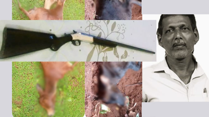 ಜಮೀನಿನೊಳಕ್ಕೆ ಬಂದ ಹತ್ತಾರು ಹಸುಗಳಿಗೆ ಗುಂಡಿಕ್ಕಿದ ನಿರ್ದಯಿ ಮನುಷ್ಯ ಜಮೀನಿನೊಳಕ್ಕೆ ಬಂದ ಹತ್ತಾರು ಹಸುಗಳಿಗೆ ಗುಂಡಿಕ್ಕಿದ ನಿರ್ದಯಿ ಮನುಷ್ಯ