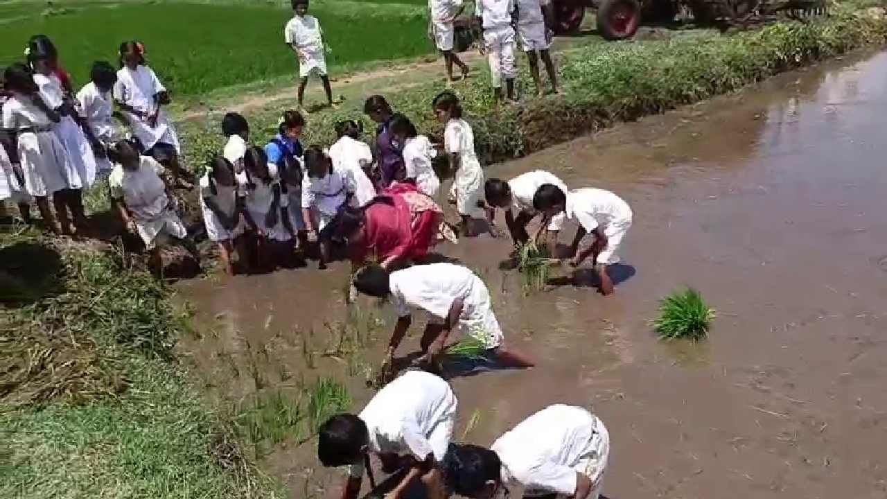 ರಾಯಚೂರು ಜಿಲ್ಲೆ ಲಿಂಗಸುಗೂರು ತಾಲೂಕಿನ ಬೆಂಡೋಣಿ ಸರ್ಕಾರಿ‌ ಶಾಲೆ ಈಗ ಮಾದರಿ ಪಾಠ ಶಾಲೆಯಾಗಿದೆ. ವಿದ್ಯಾರ್ಥಿಗಳನ್ನು ಗದ್ದೆಗೆ ಇಳಿಸಿ ನಾಟಿ ಮಾಡಿಸಲಾಗಿದೆ. ಈ ಮೂಲಕ ಸರ್ಕಾರಿ ಶಾಲಾ ಮಕ್ಕಳಿಗೆ ಶಿಕ್ಷಕರು ಕೃಷಿಯ ಪಾಠ ಹೇಳಿಕೊಟ್ಟಿದ್ದಾರೆ.