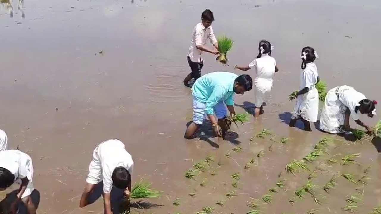 ಶಿಕ್ಷಣವೆಂಬುವುದು ಕೇವಲ  ಪಠ್ಯಕ್ಕೆ ಮಾತ್ರ ಸೀಮಿತವಾಗಿರುವ ಇಂದಿನ ದಿನಗಳಲ್ಲಿ ಈ ಸರ್ಕಾರಿ ಶಾಲೆಯ ವಿದ್ಯಾರ್ಥಿಗಳು ಗದ್ದೆಗೆ ಇಳಿದು ಕೃಷಿಯ ಬಗ್ಗೆ ಮಾಹಿತಿ ಪಡೆದುಕೊಂಡಿದ್ದಾರೆ. ನಾಟಿ ಮಾಡುವುದು, ಕೃಷಿ ಬಳಕೆಯ ವಸ್ತುಗಳ ಬಗ್ಗೆ ತಿಳಿದುಕೊಂಡಿದ್ದಾರೆ.