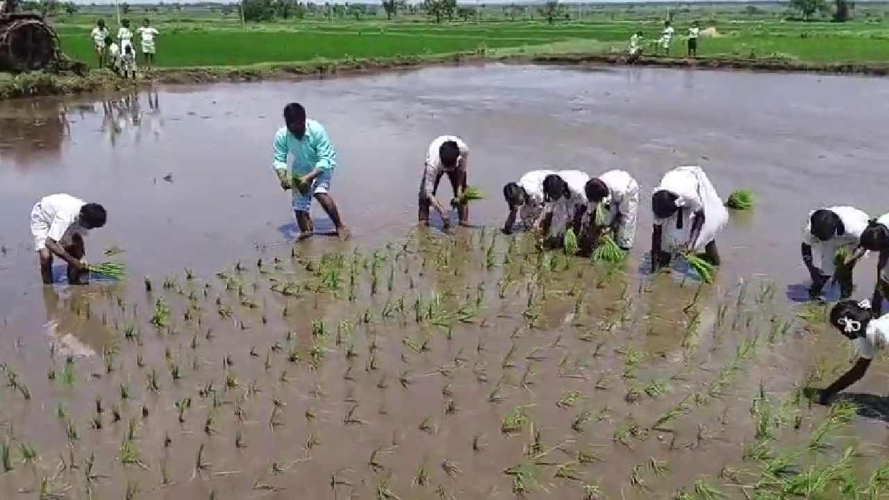 ಮಕ್ಕಳಿಗೆ ಕೃಷಿಯ ಮಹತ್ವದ ಬಗ್ಗೆ ಅರಿವು ಮೂಡಿಸುವುದಕ್ಕಾಗಿ ಕೃಷಿ ಪಾಠ ಮಾಡಿದ್ದಾರೆ. ಶಾಲೆಯಲ್ಲಿ ಪ್ರತಿ ಶನಿವಾರ ಬ್ಯಾಗ್ ರಹಿತ  ದಿನ ಆಚರಣೆ ಮಾಡಲಾಗುತ್ತೆ. ಇದರ ಅಂಗವಾಗಿ ಈ ಬಾರಿ ಪರಿಸರದೆಡೆಗೆ ಮಕ್ಕಳ ಪಯಣ ಕಾರ್ಯಕ್ರಮ ಹಮ್ಮಿಕೊಳ್ಳಲಾಗಿತ್ತು.