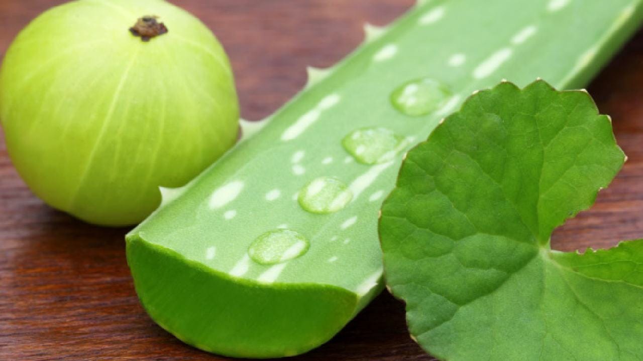 ಉತ್ತಮ ಆರೋಗ್ಯಕ್ಕೆ ನೆಲ್ಲಿಕಾಯಿ ಅಲೋವೆರಾ ಜ್ಯೂಸ್ ಕುಡಿದು ನೋಡಿ Kannada News