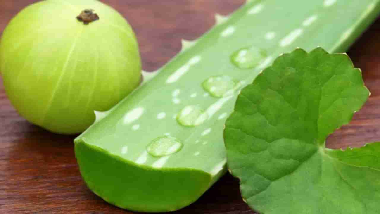 ಉತ್ತಮ ಆರೋಗ್ಯಕ್ಕೆ ನೆಲ್ಲಿಕಾಯಿ- ಅಲೋವೆರಾ ಜ್ಯೂಸ್​ ಕುಡಿದು ನೋಡಿ