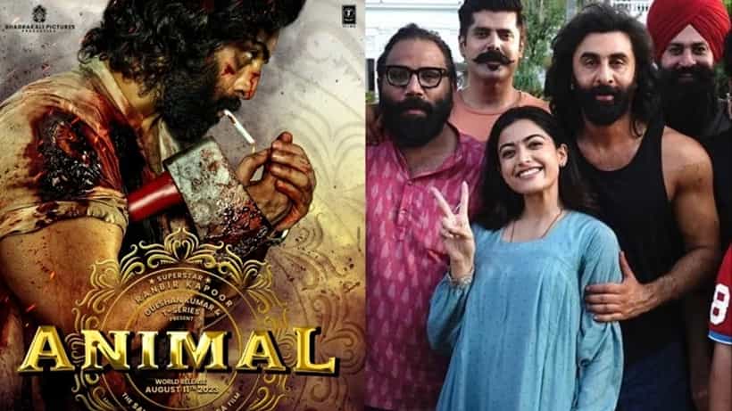 ಸ್ಟಾರ್ ನಟ ಬೇಡವೆಂದಿದ್ದ ಅನಿಮಲ್ ಸಿನಿಮಾ, ರಣ್ಬೀರ್ಗೆ ದೊರಕಿದ್ದು ಹೇಗೆ?