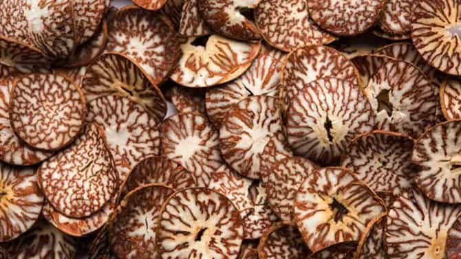 Arecanut Price 25 Oct: ಪ್ರಮುಖ ಮಾರುಕಟ್ಟೆಯಲ್ಲಿ ಇಂದಿನ ಅಡಿಕೆ ಧಾರಣೆ