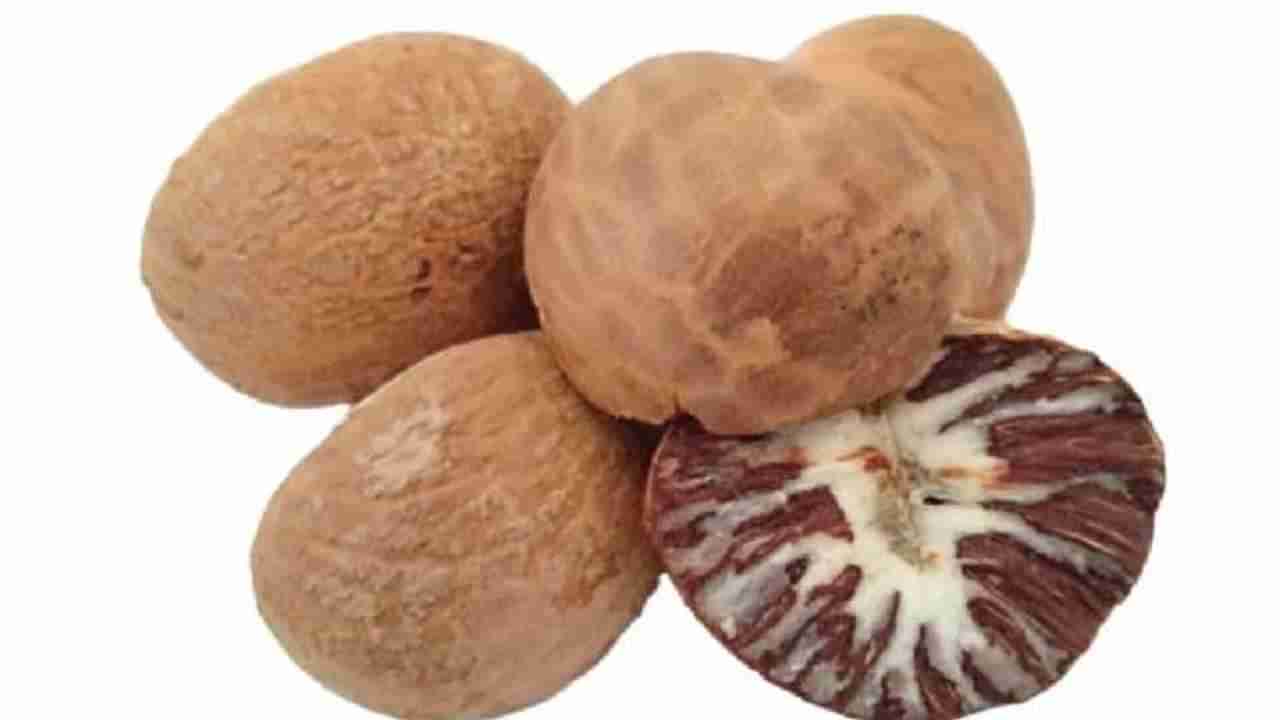 Arecanut Price 21 Sep: ಪ್ರಮುಖ ಮಾರುಕಟ್ಟೆಯಲ್ಲಿ ಇಂದಿನ ಅಡಿಕೆ ಮತ್ತು ಕೋಕೋ ದರ ಹೀಗಿದೆ