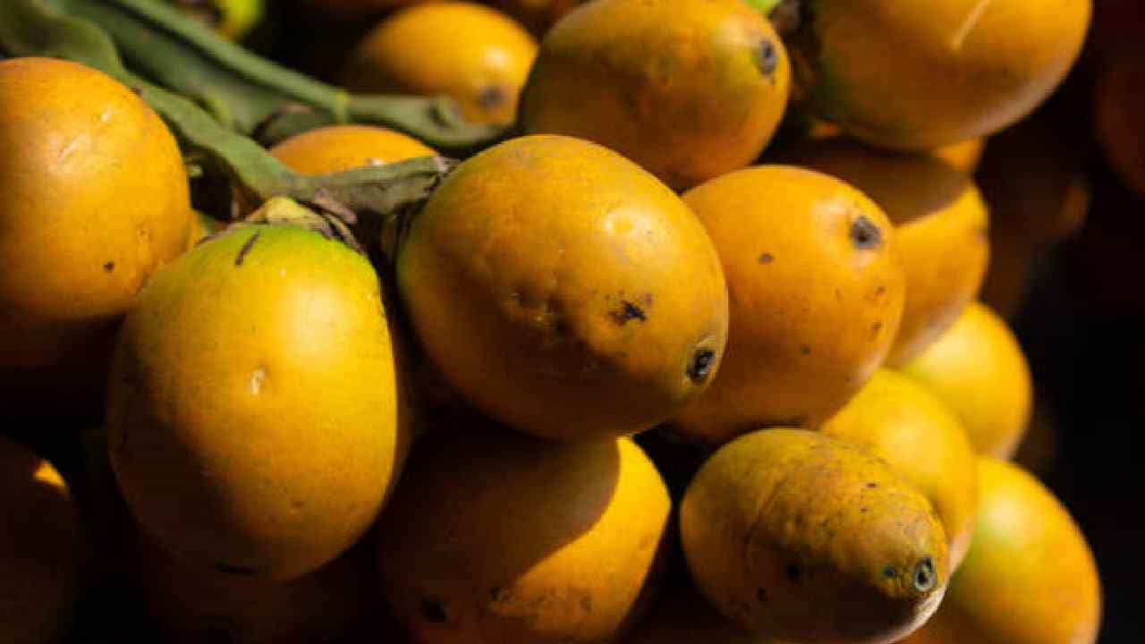 Arecanut Price 16 Oct: ಅಡಿಕೆ ಧಾರಣೆ, ಕರ್ನಾಟಕದ ಪ್ರಮುಖ ಮಾರುಕಟ್ಟೆಗಳಲ್ಲಿ ಇಂದಿನ ಅಡಿಕೆ ಮತ್ತು ಕೋಕೋ ಧಾರಣೆ Arecanut Price 16 Oct: ಅಡಿಕೆ ಧಾರಣೆ, ಕರ್ನಾಟಕದ ಪ್ರಮುಖ ಮಾರುಕಟ್ಟೆಗಳಲ್ಲಿ ಇಂದಿನ ಅಡಿಕೆ ಮತ್ತು ಕೋಕೋ ಧಾರಣೆ