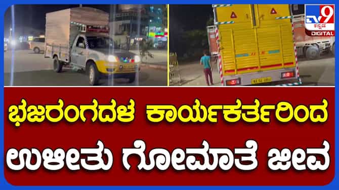 ಕಸಾಯಿಖಾನೆಗೆ ಸಾಗಿಸುತ್ತಿದ್ದ ಹಸುಗಳನ್ನು ರಕ್ಷಿಸಿದ ಬಜರಂಗ ದಳ ಕಾರ್ಯಕರ್ತರು