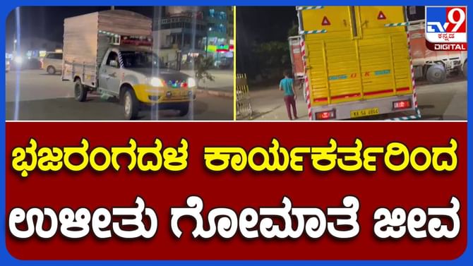 ಕಸಾಯಿಖಾನೆಗೆ ಸಾಗಿಸುತ್ತಿದ್ದ ಹಸುಗಳನ್ನು ರಕ್ಷಿಸಿದ ಬಜರಂಗ ದಳ ಕಾರ್ಯಕರ್ತರು ಕಸಾಯಿಖಾನೆಗೆ ಸಾಗಿಸುತ್ತಿದ್ದ ಹಸುಗಳನ್ನು ರಕ್ಷಿಸಿದ ಬಜರಂಗ ದಳ ಕಾರ್ಯಕರ್ತರು