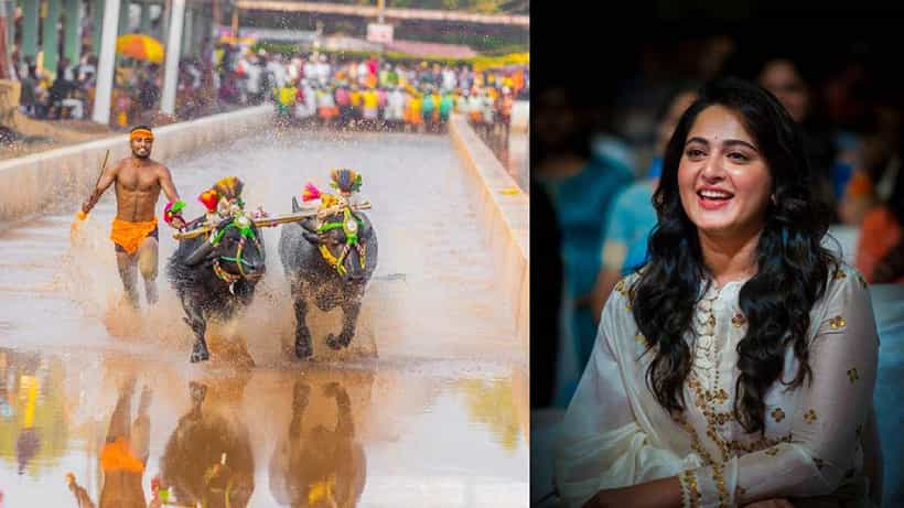 ಬೆಂಗಳೂರಿನಲ್ಲಿ 3 ದಿನ ಕಂಬಳ; ಉದ್ಘಾಟನೆಗೆ ಬರಲಿದ್ದಾರೆ ಖ್ಯಾತ ನಟಿ ಅನುಷ್ಕಾ ಶೆಟ್ಟಿ