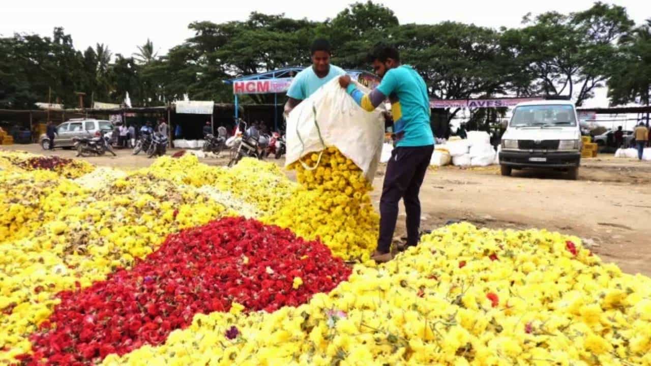 ಚಿಕ್ಕಬಳ್ಳಾಪುರ: ರಾಜಕೀಯ ಮೇಲಾಟದಲ್ಲಿ ನೆನೆಗುದಿಗೆ ಬಿದ್ದ ಅಂತರಾಷ್ಟ್ರೀಯ ಹೂವು ಮಾರುಕಟ್ಟೆ; ಇಲ್ಲಿದೆ ಮಾಹಿತಿ ಚಿಕ್ಕಬಳ್ಳಾಪುರ: ರಾಜಕೀಯ ಮೇಲಾಟದಲ್ಲಿ ನೆನೆಗುದಿಗೆ ಬಿದ್ದ ಅಂತರಾಷ್ಟ್ರೀಯ ಹೂವು ಮಾರುಕಟ್ಟೆ; ಇಲ್ಲಿದೆ ಮಾಹಿತಿ