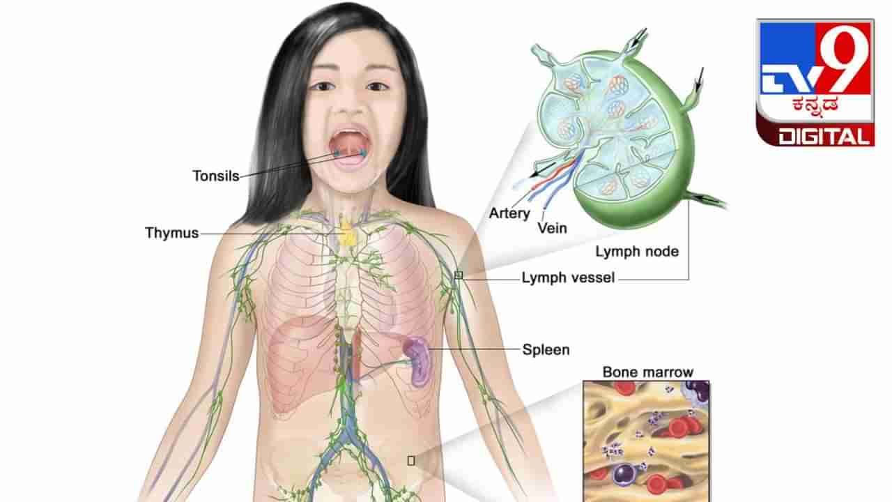 Hodgkin Lymphoma: ಮಕ್ಕಳಲ್ಲಿ ಕಂಡುಬರುವ ಅಪರೂಪದ ರಕ್ತದ ಕ್ಯಾನ್ಸರ್​​ನ ಮಾಹಿತಿ ಇಲ್ಲಿ ತಿಳಿದುಕೊಳ್ಳಿ