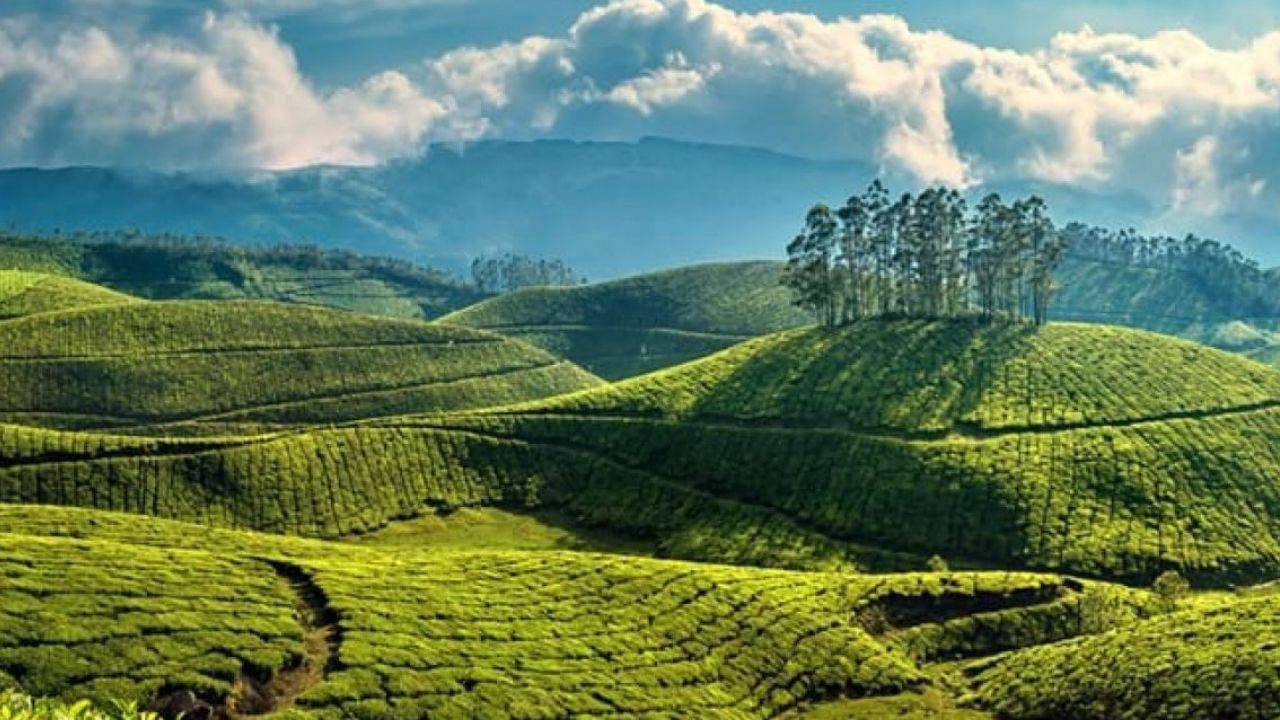 ತಮಿಳುನಾಡಿನ ಕೂನೂರು
