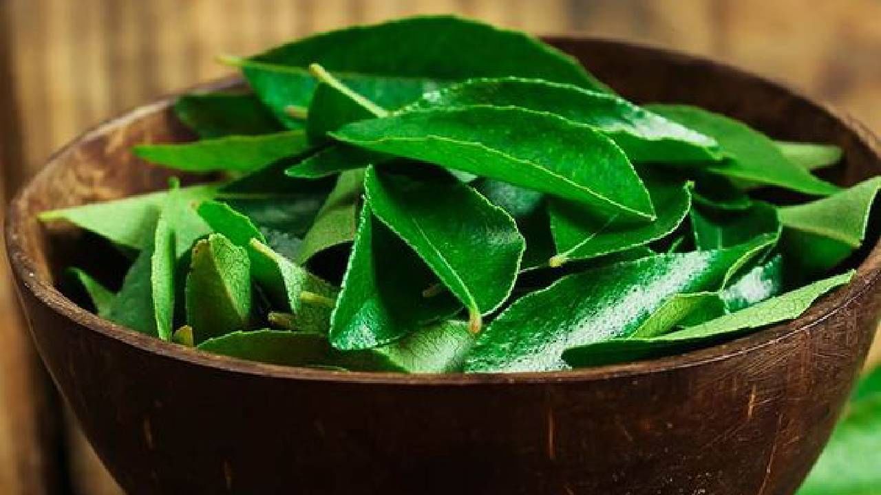 Benefits of Curry leaves: ಕರಿಬೇವಿನ ಎಲೆಗಳಿಂದ ಏನೆಲ್ಲಾ ಆರೋಗ್ಯ ಪ್ರಯೋಜನಗಳಿವೆ ತಿಳಿದಿದೆಯಾ? ಮಾಹಿತಿ ಇಲ್ಲಿದೆ