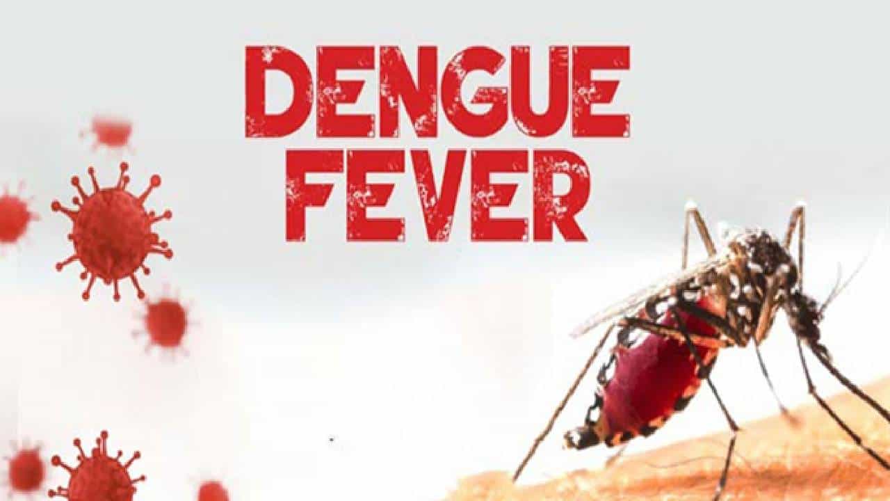 ಡೆಂಗ್ಯೂವಿನಿಂದ ಪ್ಲೇಟ್ಲೆಟ್ಗಳಷ್ಟೇ ಅಲ್ಲ, ಹೃದಯ, ಮೂತ್ರಪಿಂಡ, ಲಿವರ್, ಮೆದುಳಿಗೂ ಹಾನಿಯಾಗಬಹುದು ಡೆಂಗ್ಯೂವಿನಿಂದ ಪ್ಲೇಟ್ಲೆಟ್ಗಳಷ್ಟೇ ಅಲ್ಲ, ಹೃದಯ, ಮೂತ್ರಪಿಂಡ, ಲಿವರ್, ಮೆದುಳಿಗೂ ಹಾನಿಯಾಗಬಹುದು