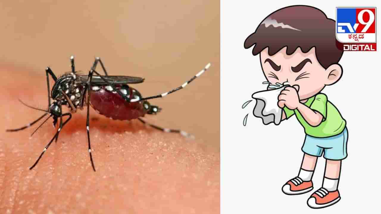 Dengue fever: ಡೆಂಗ್ಯೂ ಜ್ವರದಿಂದ ವೇಗವಾಗಿ ಚೇತರಿಸಿಕೊಳ್ಳಲು ಸಹಾಯಕ ಈ ಆಹಾರಗಳು