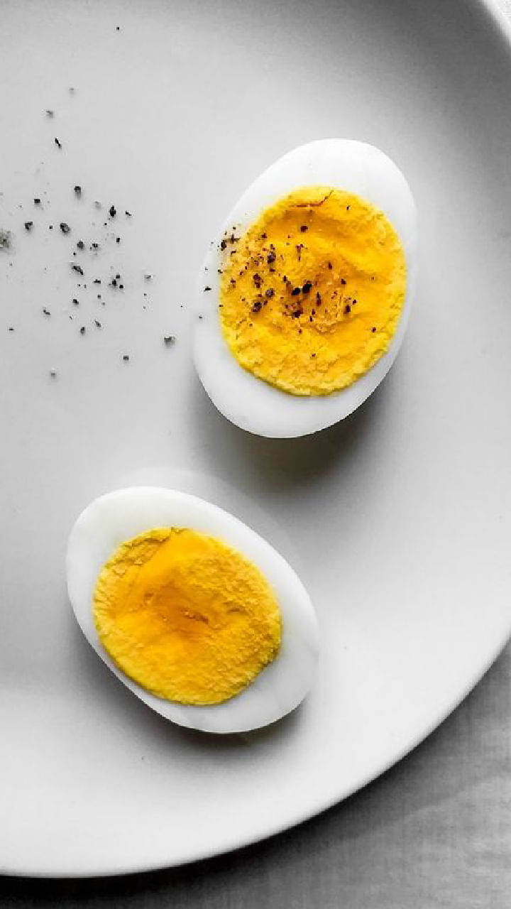 egg (1)