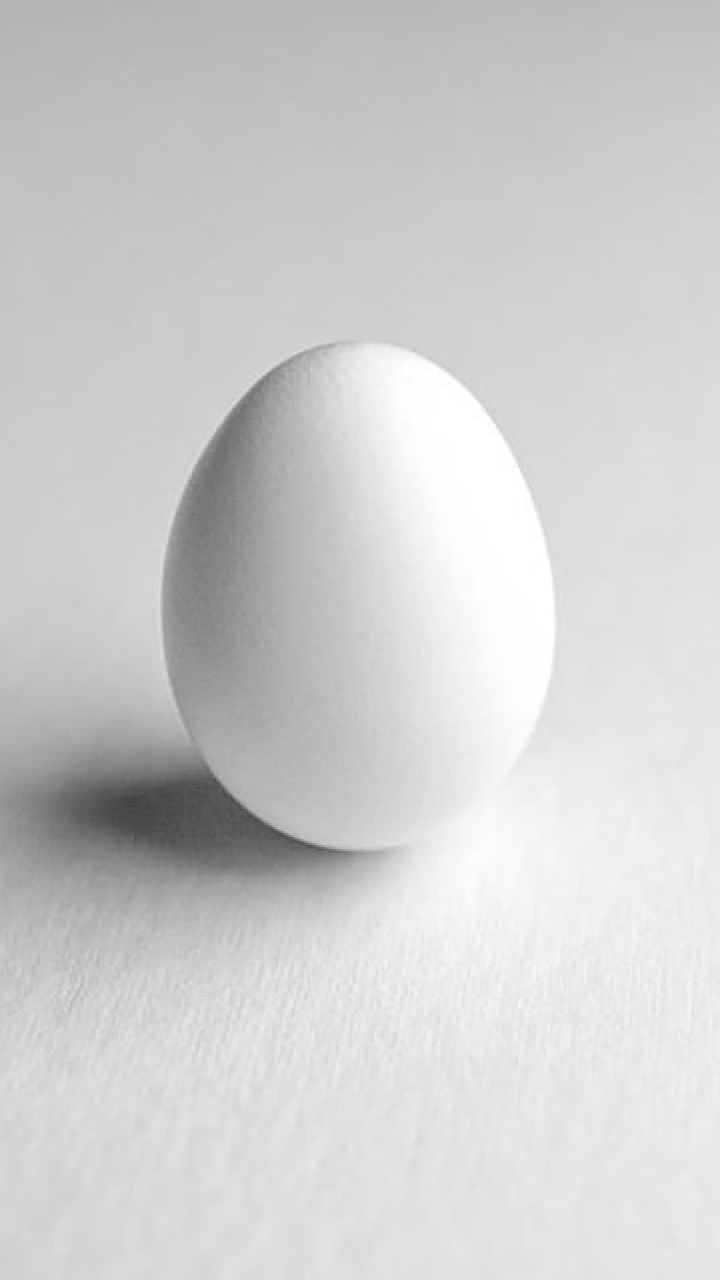 egg