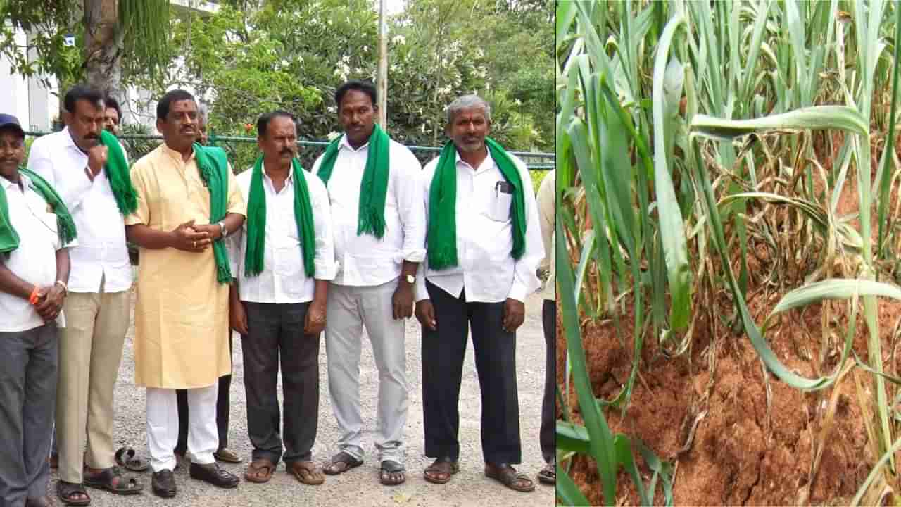 ಬರಗಾಲಕ್ಕೆ ಕಂಗಲಾದ ಚಿಕ್ಕಬಳ್ಳಾಪುರ; ಕೆಲವು ಹಳ್ಳಿಗಳಲ್ಲಿ ಕುಡಿಯುವ ನೀರಿಗೂ ಸಮಸ್ಯೆ