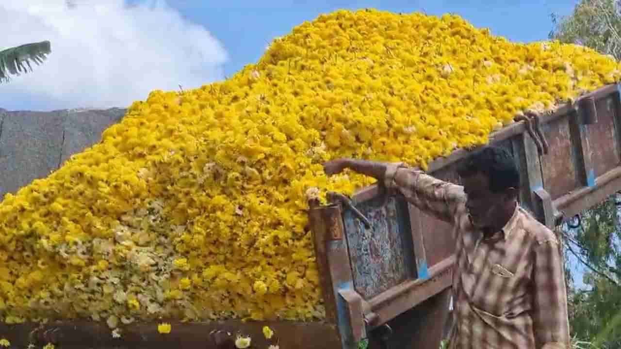 ಬೆಂಗಳೂರು ಬಂದ್ ಪರಿಣಾಮ; ಚಿಕ್ಕಬಳ್ಳಾಪುರದಲ್ಲಿ ಕುಸಿದ ಹೂ ಬೆಲೆ, ಹೂಗಳನ್ನು ತಿಪ್ಪೆ ಗುಂಡಿಗೆ ಸುರಿದ ರೈತರು