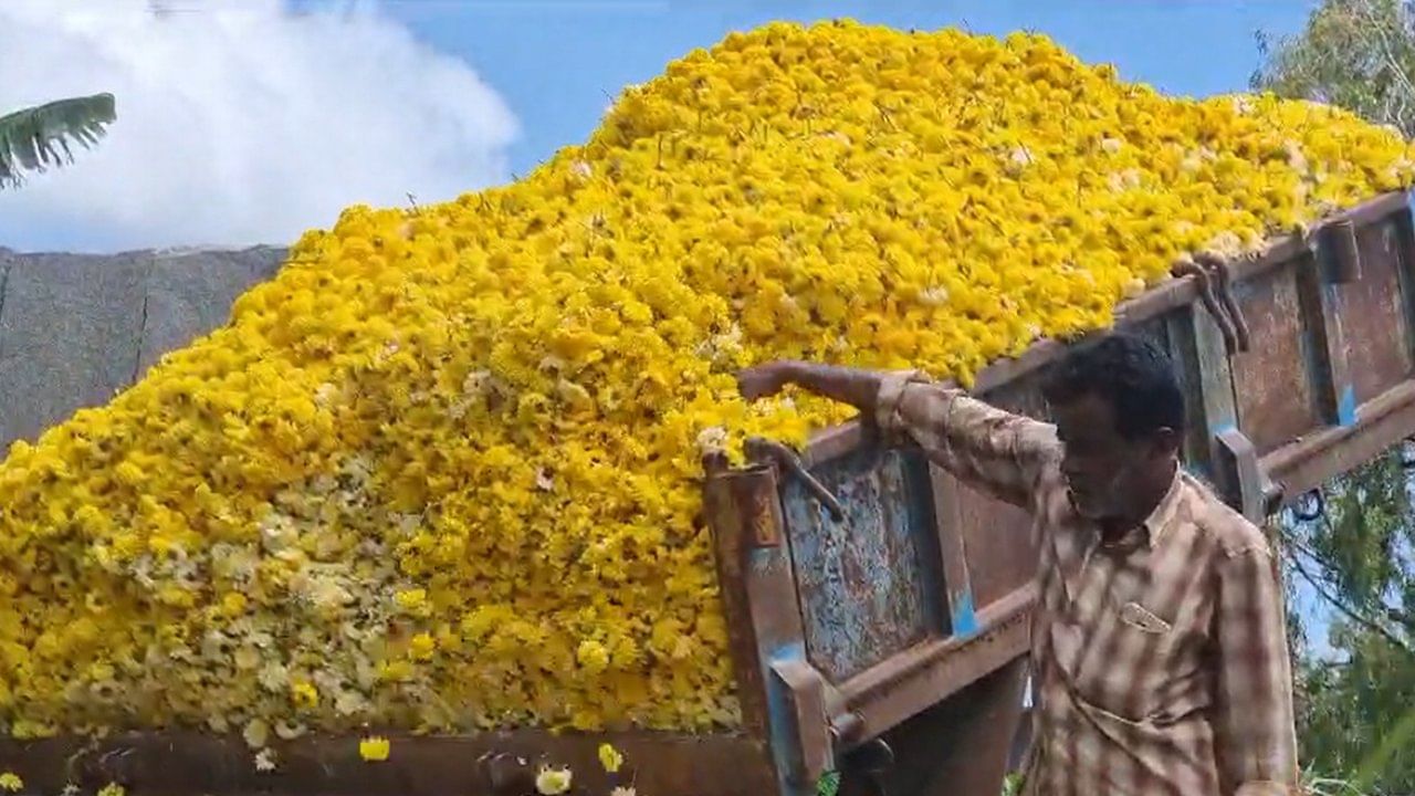 ಬೆಂಗಳೂರು ಬಂದ್ ಪರಿಣಾಮ; ಚಿಕ್ಕಬಳ್ಳಾಪುರದಲ್ಲಿ ಕುಸಿದ ಹೂ ಬೆಲೆ, ಹೂಗಳನ್ನು ತಿಪ್ಪೆ ಗುಂಡಿಗೆ ಸುರಿದ ರೈತರು