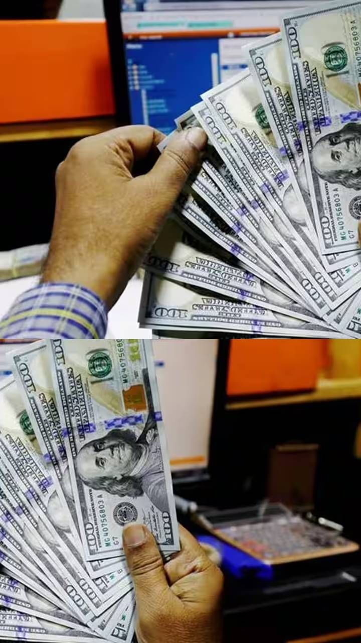 forex-reserves-9