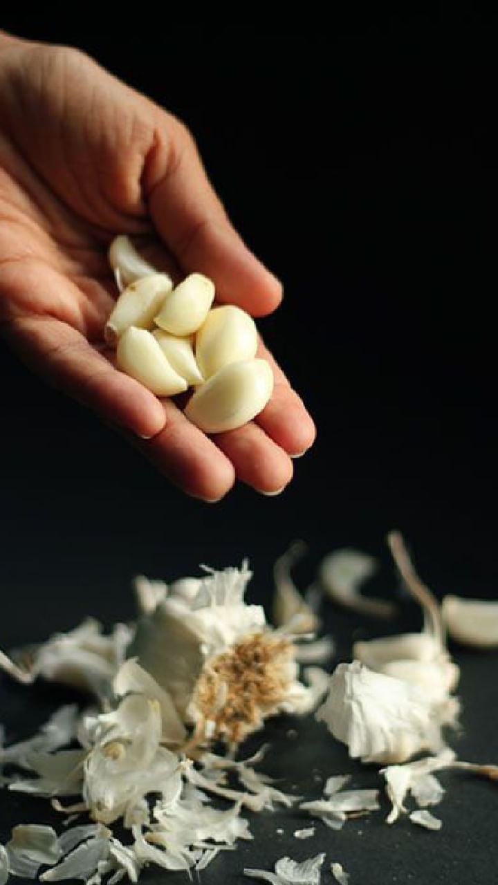 garlic (3)