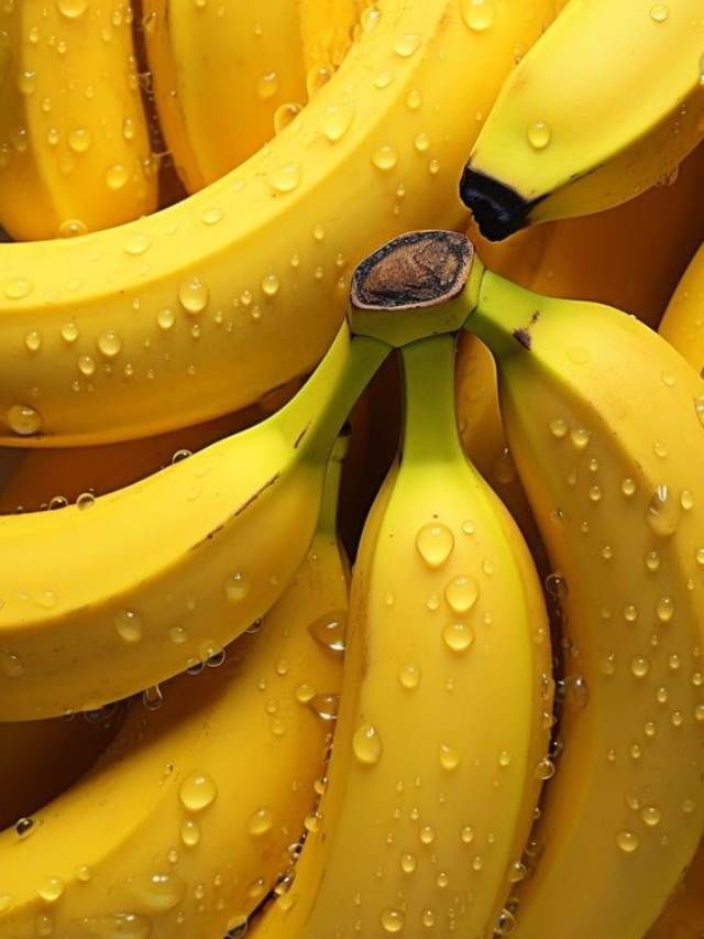 ಈ ಸಮಸ್ಯೆಯಿಂದ ಬಳಲುತ್ತಿದ್ದರೆ ಬಾಳೆಹಣ್ಣು ತಿನ್ನಬೇಡಿ TV9 Kannada Health