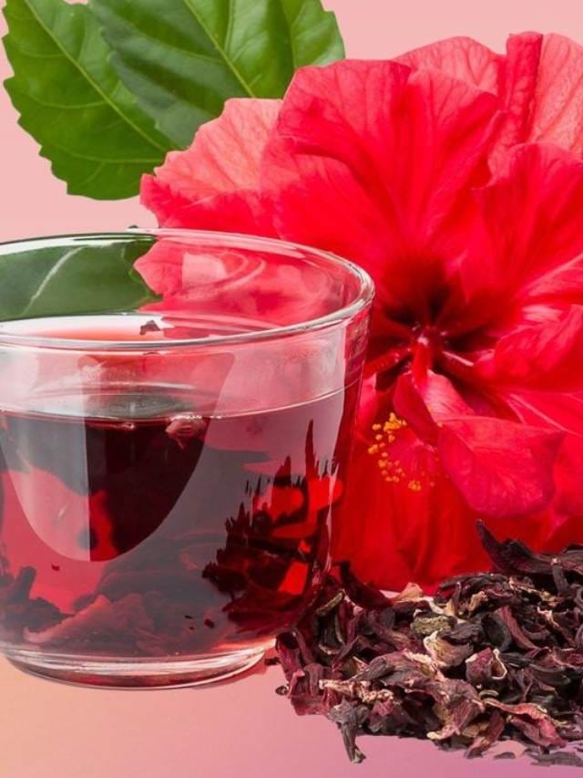 Hibiscus ದಾಸವಾಳ ಹೂವಿನ ಆರೋಗ್ಯ ಪ್ರಯೋಜನಗಳನ್ನು ಇಲ್ಲಿ ತಿಳಿದುಕೊಳ್ಳಿ