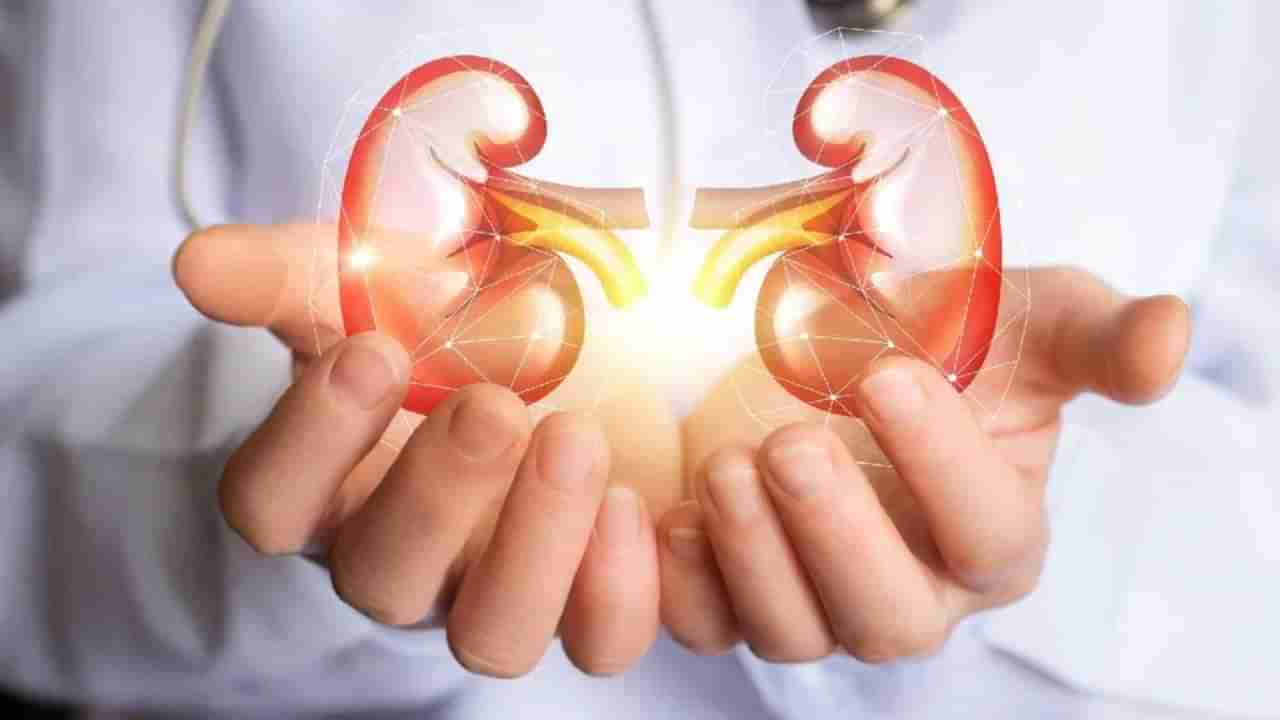 Know Your Kidney: ಕಿಡ್ನಿ ಕುರಿತಾಗಿ ನೀವು ತಿಳಿದಿರಲೇಬೇಕಾದ ಸಂಗತಿಗಳು