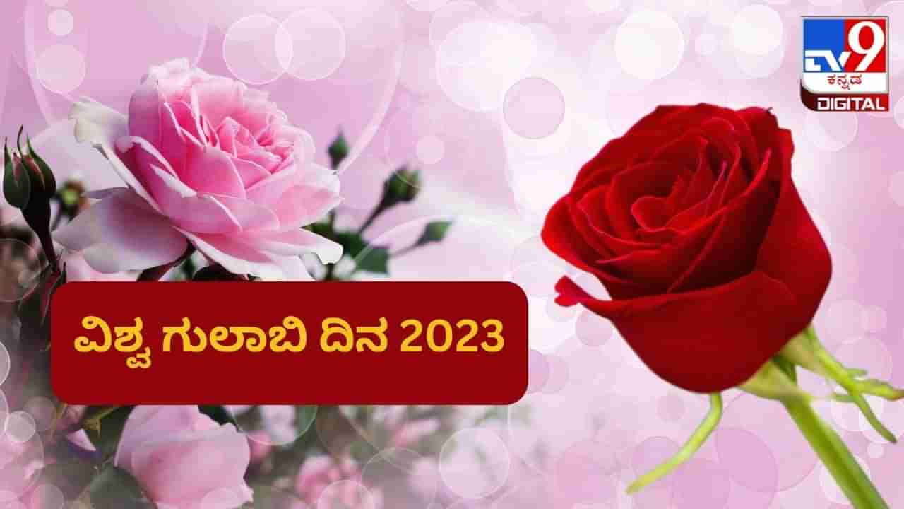 World Rose Day 2023: ವಿಶ್ವ ಗುಲಾಬಿ ದಿನವನ್ನು ಏಕೆ ಆಚರಿಸಲಾಗುತ್ತದೆ? ಕ್ಯಾನ್ಸರ್ ರೋಗಿಗಳಿಗೆ ಮನೋಸ್ಥೈರ್ಯ ಈ ಆಚರಣೆ