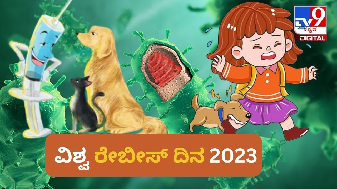 World Rabies Day 2023: ವಿಶ್ವ ರೇಬೀಸ್ ದಿನವನ್ನು ಏಕೆ ಆಚರಿಸಲಾಗುತ್ತದೆ? ಈ ದಿನದ ಇತಿಹಾಸ, ಪ್ರಾಮುಖ್ಯತೆ ಇಲ್ಲಿದೆ World Rabies Day 2023: ವಿಶ್ವ ರೇಬೀಸ್ ದಿನವನ್ನು ಏಕೆ ಆಚರಿಸಲಾಗುತ್ತದೆ? ಈ ದಿನದ ಇತಿಹಾಸ, ಪ್ರಾಮುಖ್ಯತೆ ಇಲ್ಲಿದೆ
