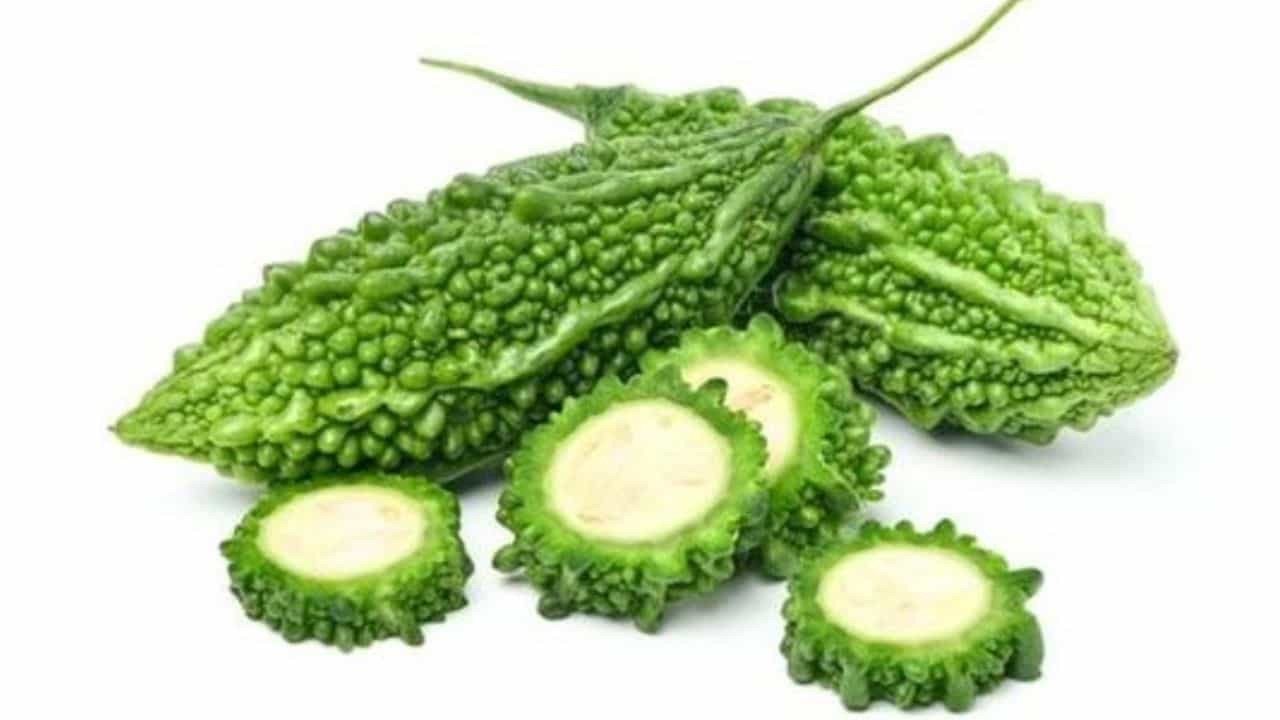 Bitter  Gourd : ಹಾಗಲಕಾಯಿ ಏಕೆ ಕಹಿ ಗುಣವನ್ನು ಹೊಂದಿರುತ್ತದೆ? ಅದರ  ಆರೋಗ್ಯ ಪ್ರಯೋಜನಗಳೇನು? 