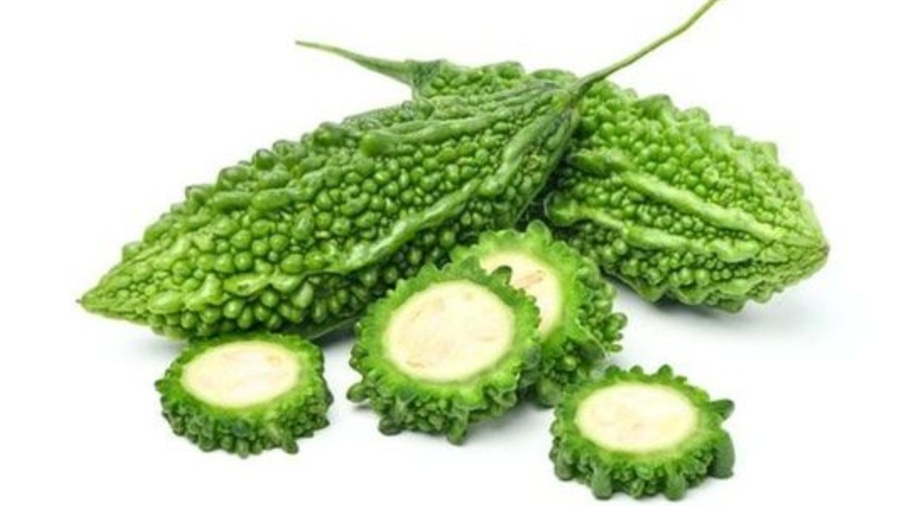 Bitter  Gourd : ಹಾಗಲಕಾಯಿ ಏಕೆ ಕಹಿ ಗುಣವನ್ನು ಹೊಂದಿರುತ್ತದೆ? ಅದರ  ಆರೋಗ್ಯ ಪ್ರಯೋಜನಗಳೇನು? 