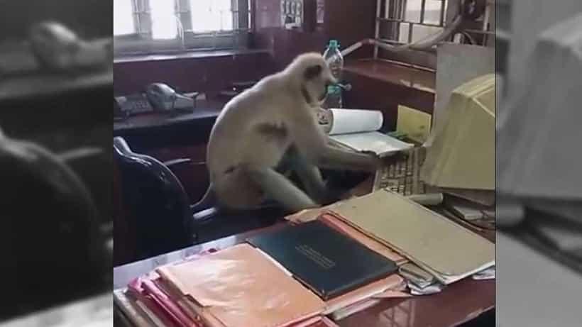 Viral Video: ಬೋಲ್ಪುರ: ರೈಲ್ವೇ ಟಿಕೆಟ್ ಕೌಂಟರ್ನಲ್ಲಿ ಕಾರ್ಯ ನಿರ್ವಹಿಸಿದ ಮಿಸ್ಟರ್ ಮಾರುತಿ