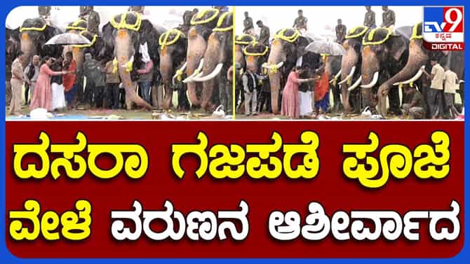 ಅರಮನೆ ಅಂಗಳದಲ್ಲಿ ಅಭಿಮನ್ಯು ನೇತೃತ್ವದ 9 ಆನೆಗಳಿಗೆ ಪೂಜೆ