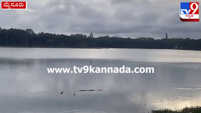 ಮೈಸೂರಿನ ಕುಕ್ಕರಹಳ್ಳಿ ಕೆರೆಯಲ್ಲಿ ಬೃಹದಾಕಾರದ ಮೊಸಳೆ ಪ್ರತ್ಯಕ್ಷ