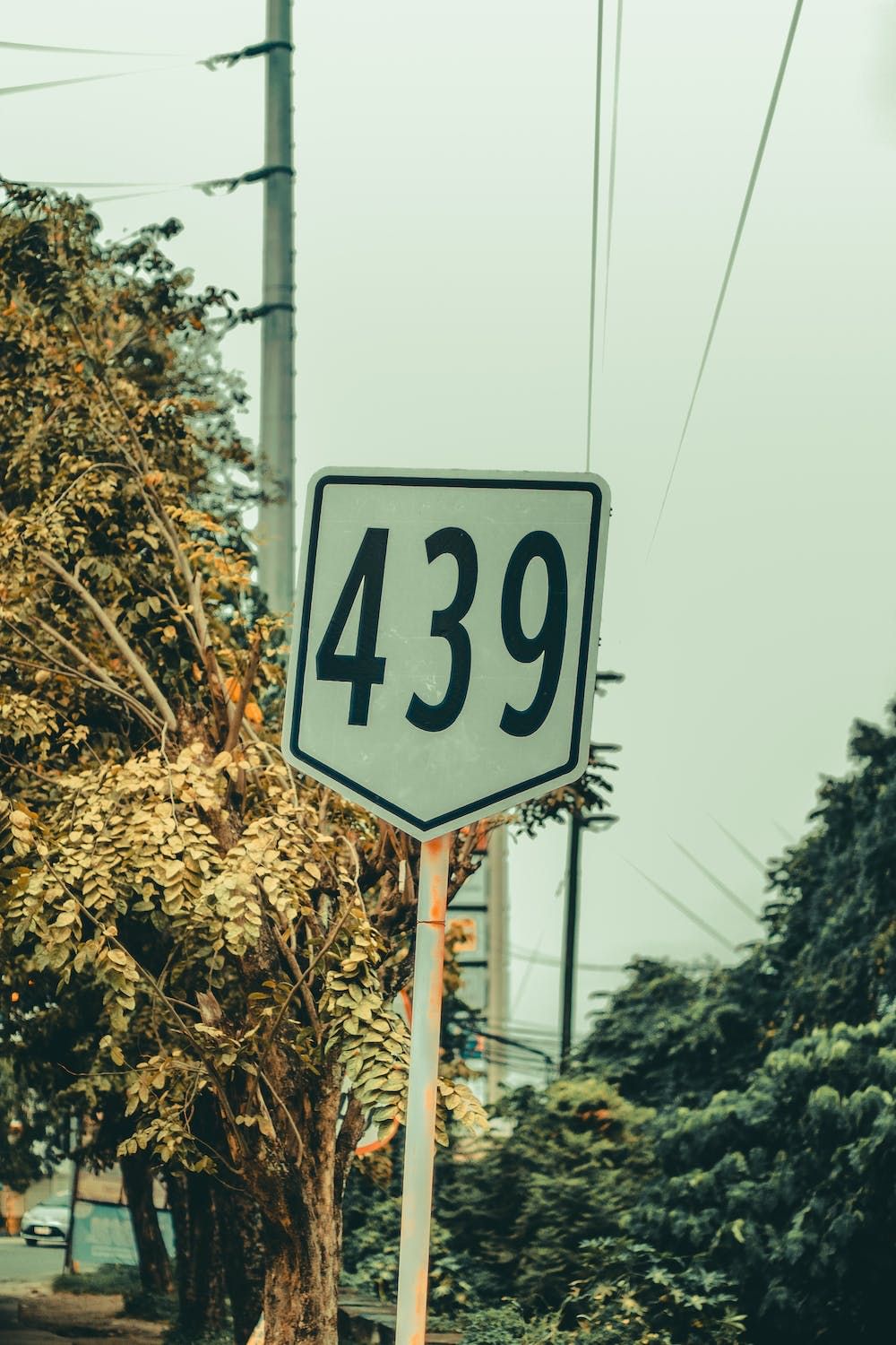 pexels-photo-3230204