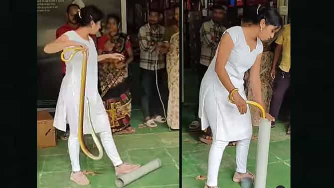 ಬರೀಗೈಯಿಂದ ಹಾವು ಹಿಡಿಯುತ್ತಿರುವ ಯುವತಿಯ ವಿಡಿಯೋ ವೈರಲ್